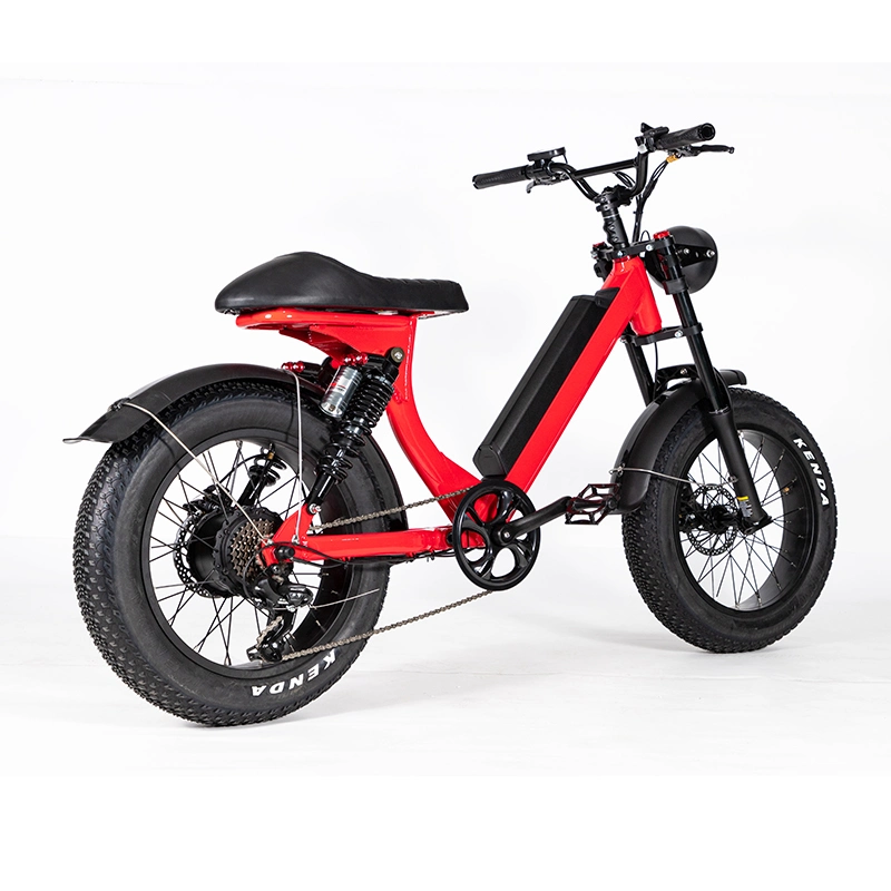 CE Electric Bike 20*4 Fat Tire 500W Motor 48V 20ah Battery Long Range Ebike