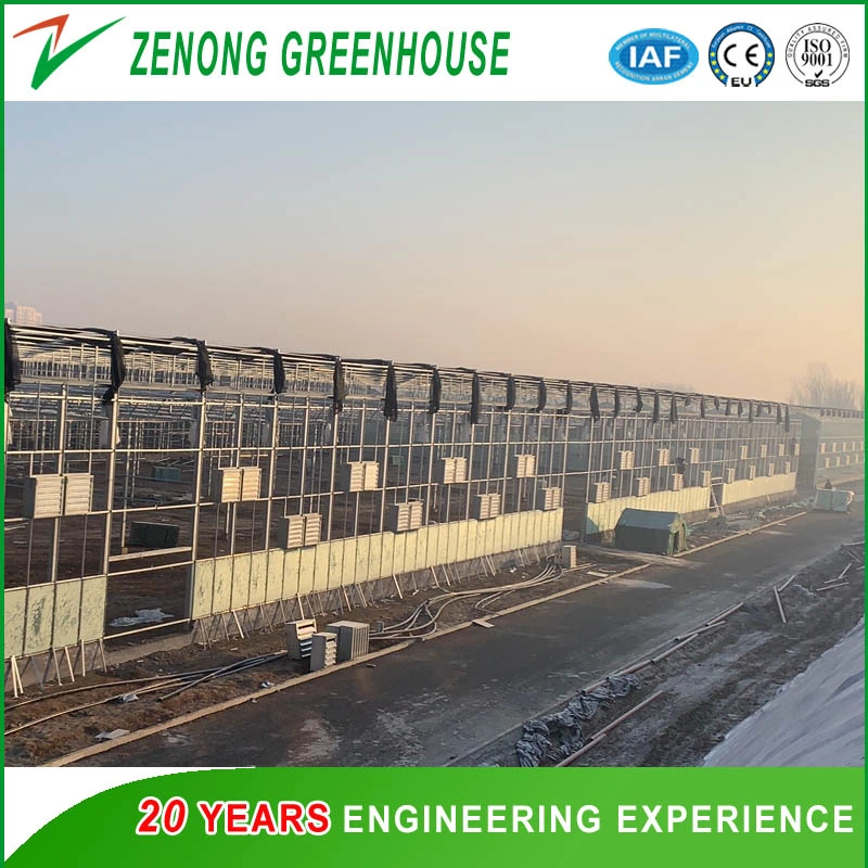 Intelligent Automatic Greenhouse Glass Greenhouse for Seedling Nursery/Eco Restaurant/Vegetable Fair