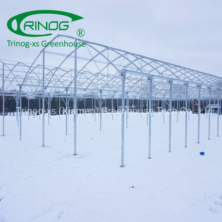 Trinog invernadero agrícola muti-span túneles altos invernaderos para instalaciones agrícolas equipo