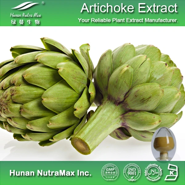 Artichoke Leaf Extract Powder Cynarin 2.5%, 5%