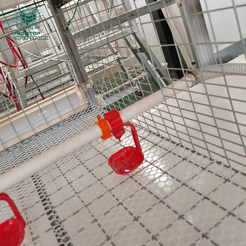 Lebensdauer 20 Jahre H Typ 4 Tiers Vollautomatisch Akku-Broiler Chicken Cage