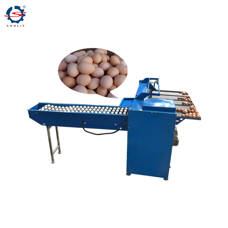 Stainless Steel Eggs Sorting and Candle Machine Goose Eggs Grading Machine