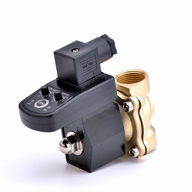 1/4'' 1/2'' Inch NPT Inlet 1/2'' Inch NPT Outlet AC220V AC110V Automatic Drain Valve for Air Compressor