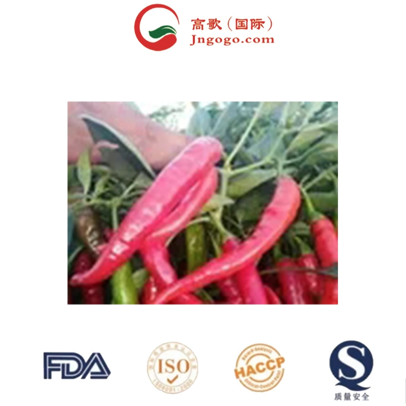 100% Pure Fresh Red Hot Organic Natural Dried Chili Pepper