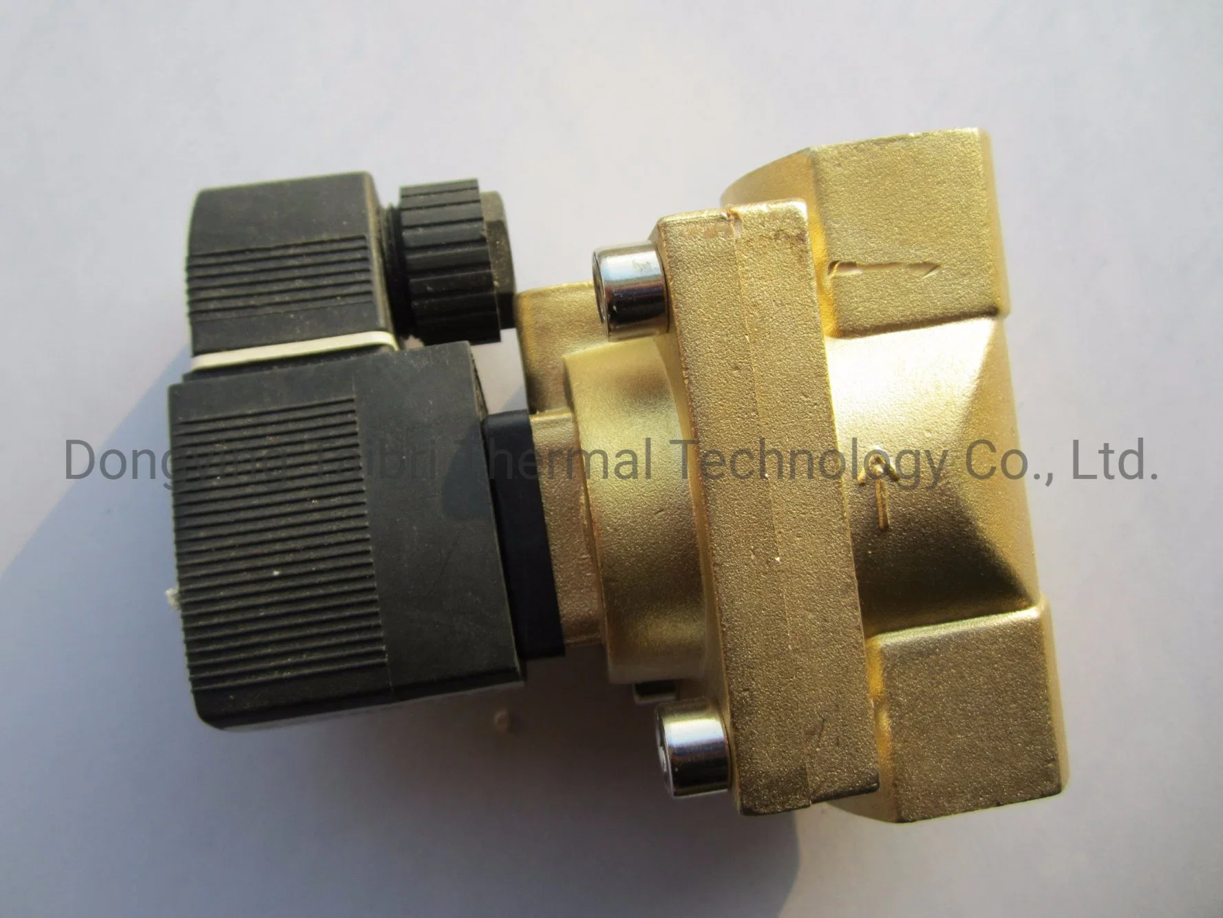 Normally Closed Solenoid Valve Water Valve, Fully Enclosed Coil, AC220V G1/2 Inch The Electromagnetic Valve Plastic Sealing Coil