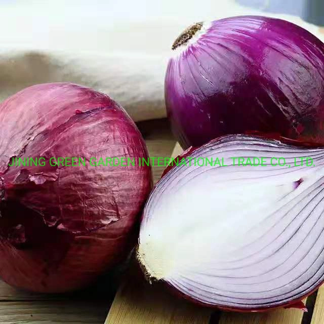 Top Quality Fresh Red Onion China Good Price Free Sample