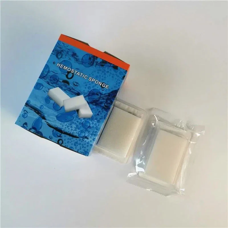 Dental Consumables Medical Surgical Disposable Absorbable Gelatin Hemostatic Sponge