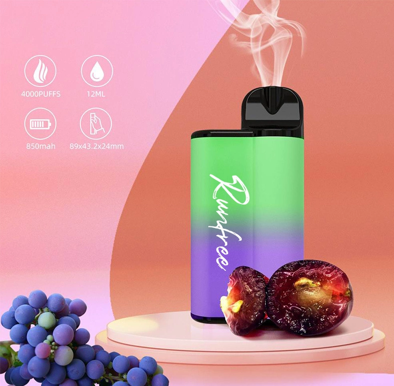 Hot Sell 4000 Puffs 12ml Oil Electronic Cigarette Saudi Arabia Dry Herb Vaporizer