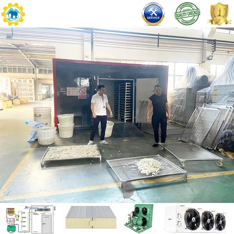 Heat Pump Nuts Drying Machine Energy-Saving Heat Pump Tray Dryer Melon Seeds/Vegetable/Fruits Drying Room Machine