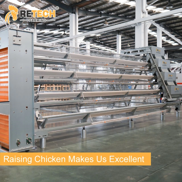 High-Quality Automatic Chicken Cage Layer Raising Poultry Equipment