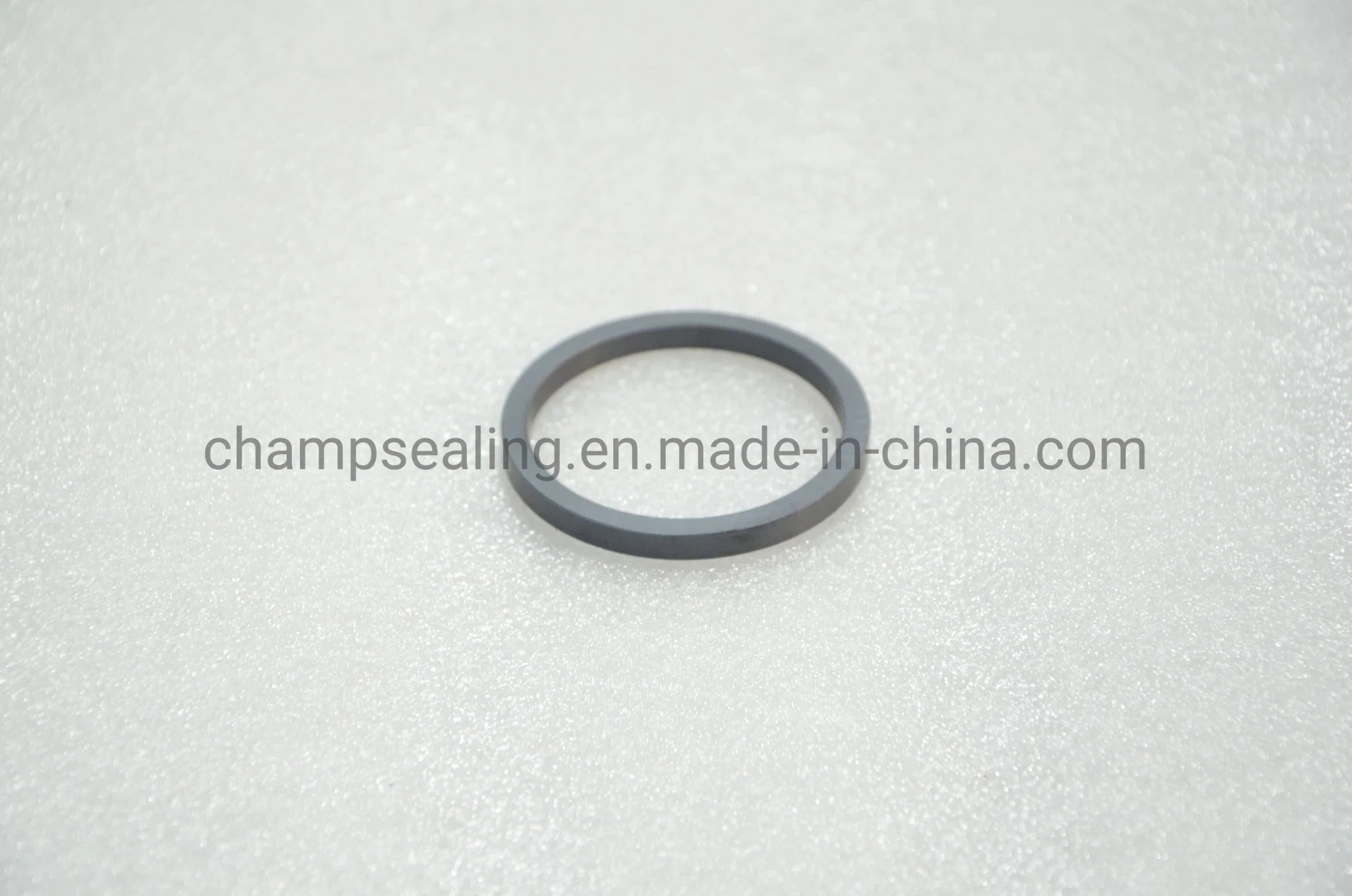 Sic Ceramic Sealing Ring