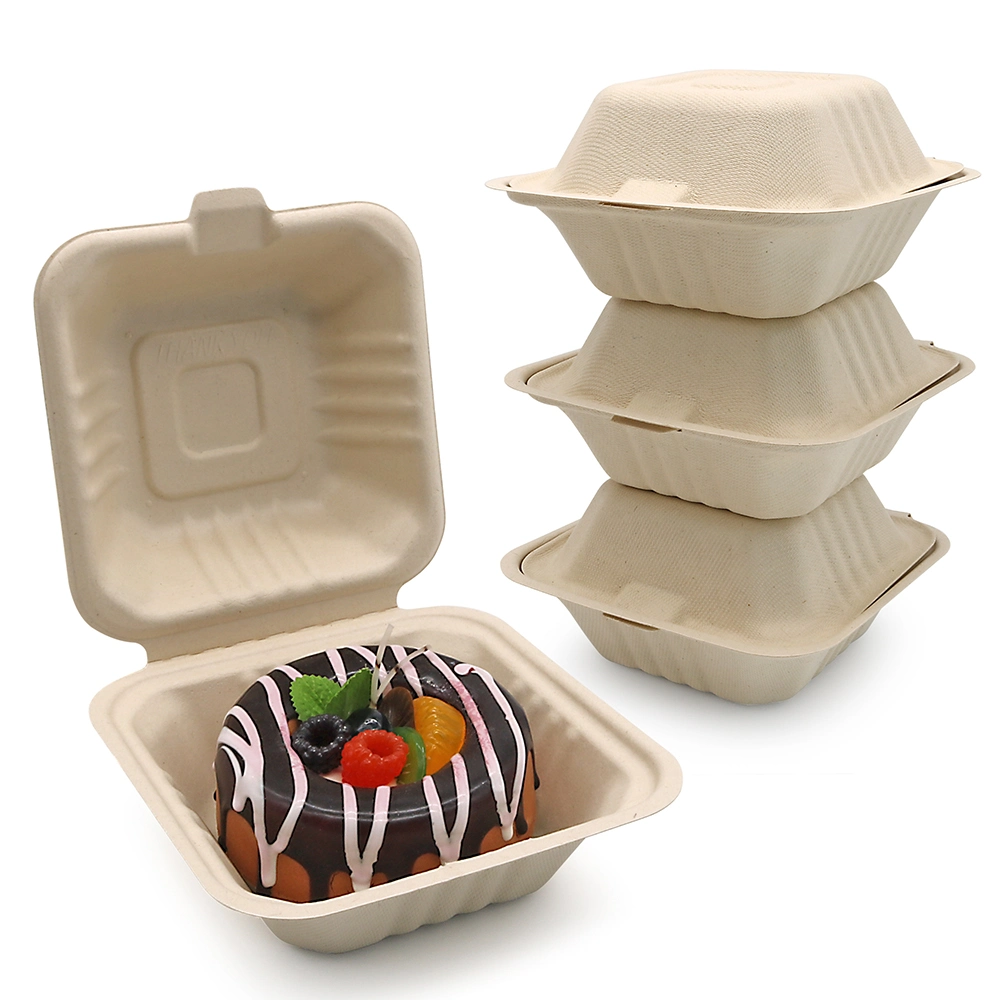 Accepptable Biodegradable Allwin-Flu 152*152*76mm Take Away Containers Disposable Food Container