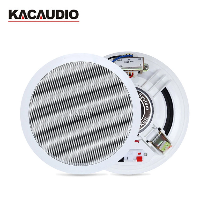 110-13000Hz Freq Resp Passive Ceiling Speaker with Carton Packed