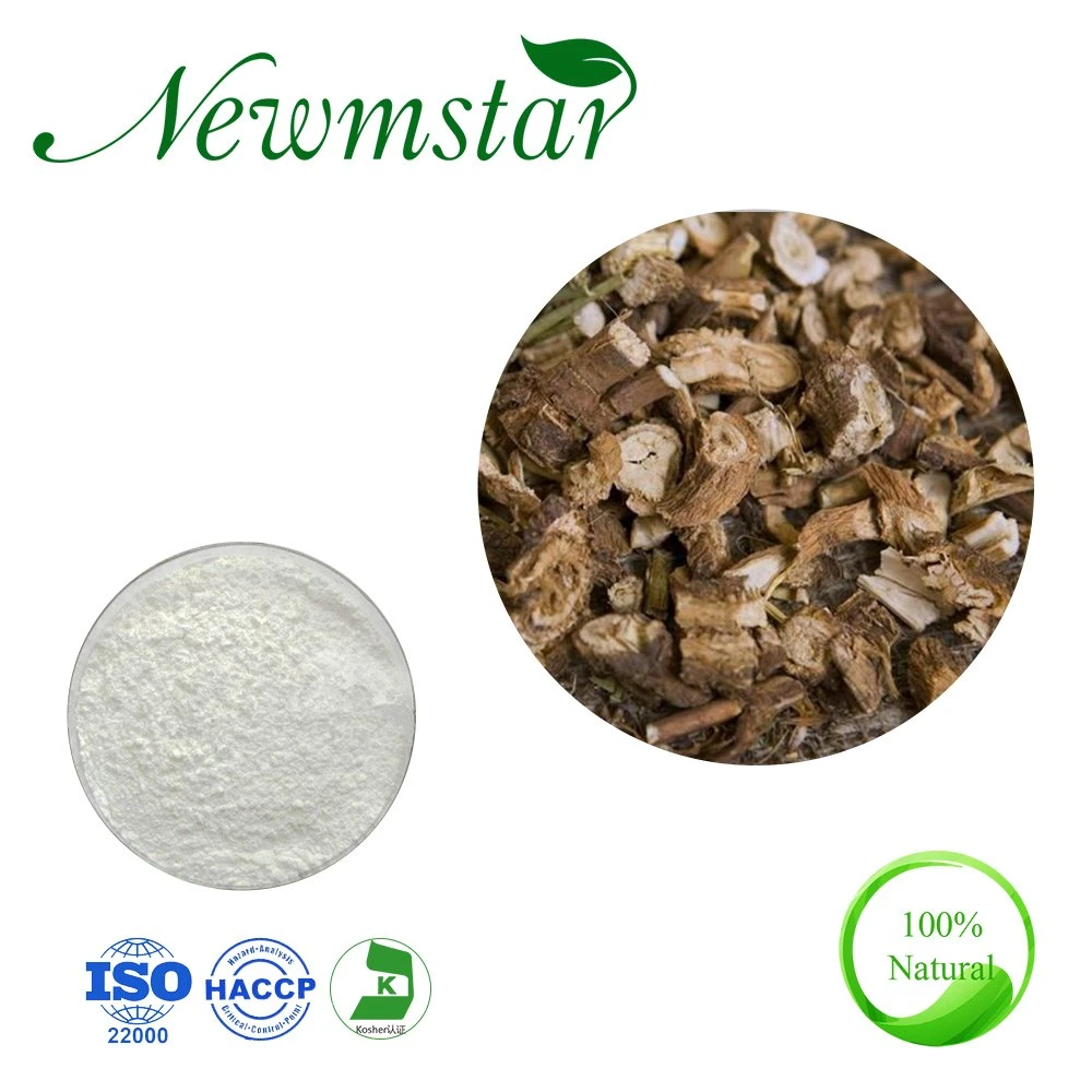 Food Grade 90% Inulin Powder Cichorium Intybus L Chicory Root Extract