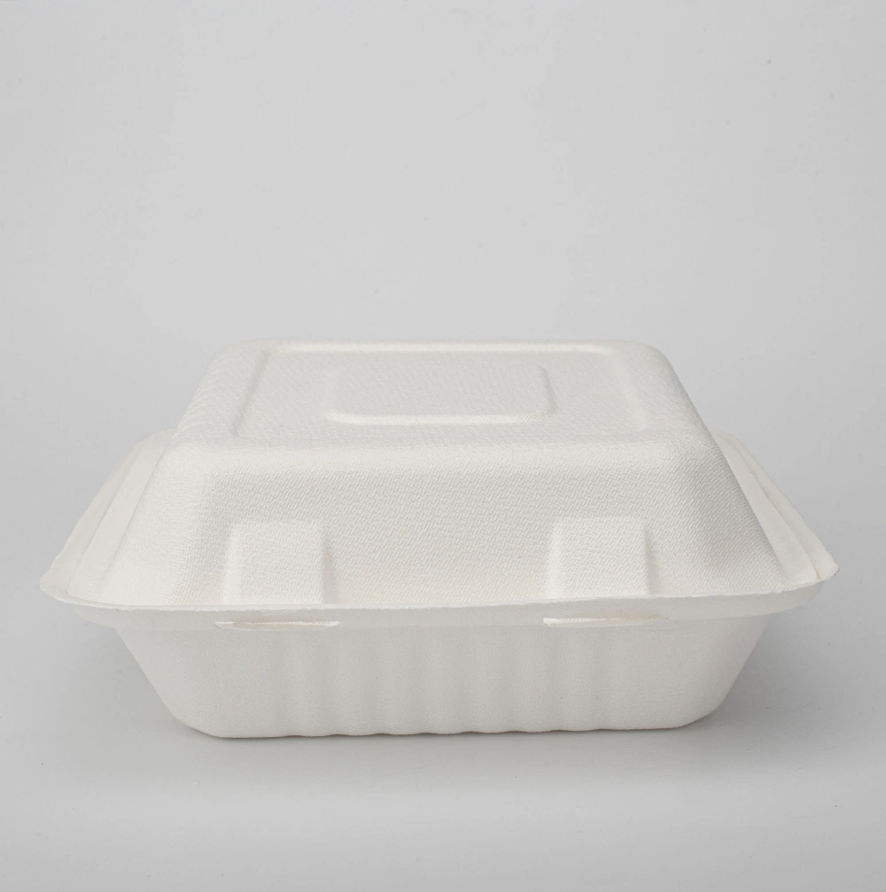 Biologisch Abbaubare 3 Fach Bagasse Food Container Zuckerrohr Food Box Zum Mittagessen Bagasse Secure Deckel Falten Lebensmittel-Box gehen