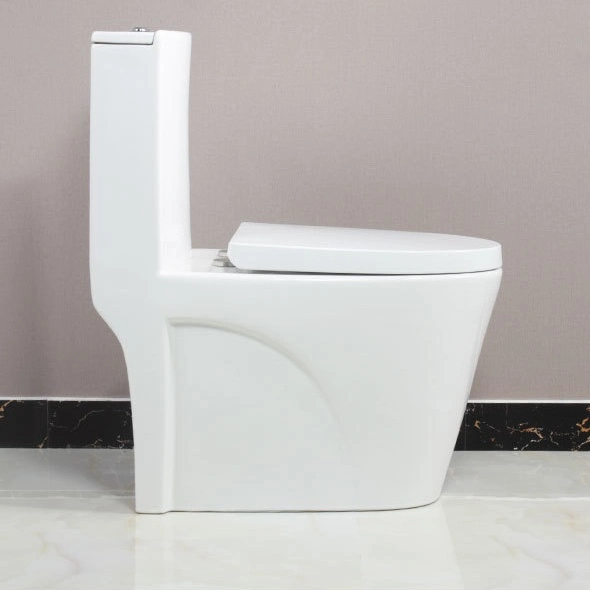 Sanitary Ware Bathroom Ceramic Wc One Piece Toilet Bowl From Chaozhou (JY1018)