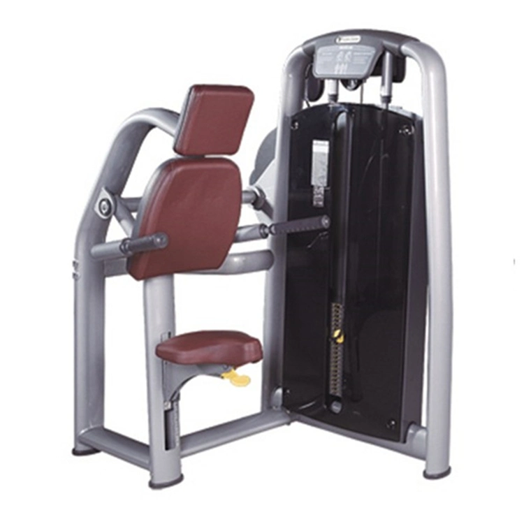 Triceps DIP Body Fit Commercial Gym Equipment