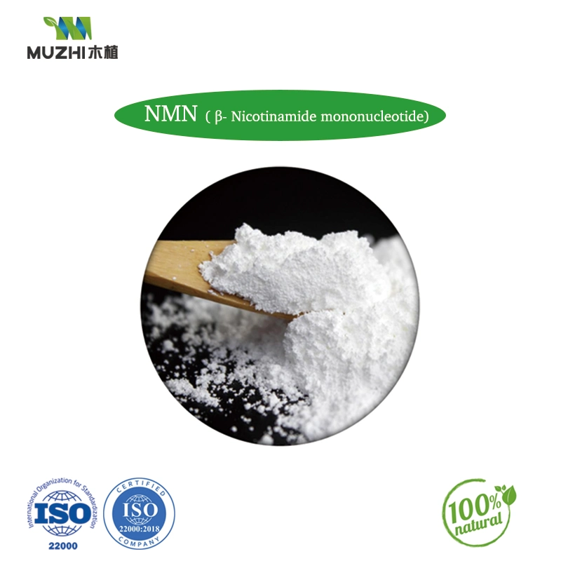 Nmn (&beta; - Nicotinamide mononucleotide) Natural Herbal Plant &ge; 99%