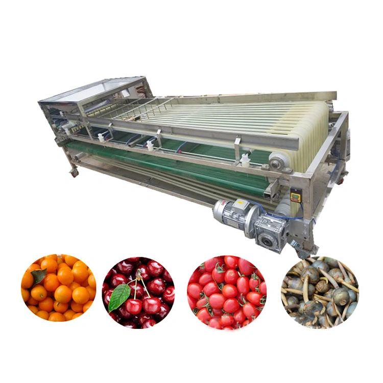 Novas cerejas de café Ordenação de frutos de azeitona de feiticeiro de Sorter Cherry Grader Máquina