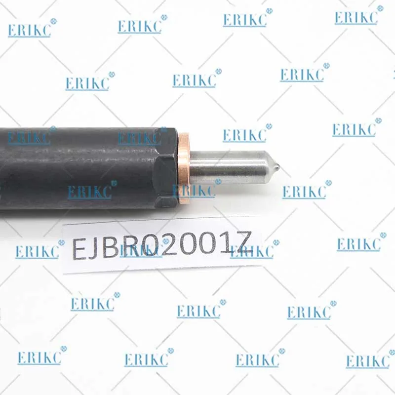 Erikc Ejbr02001z Diesel Engine Fuel Injector Ejb R02001z Injection Pump Parts Ejbr0 2001z for Delph