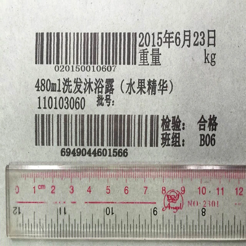 Food Bag Expiry Date High Resolution Inkjet Printer (ECH800)