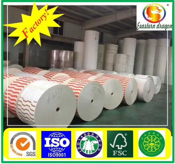 Grade AA Paper Cup Base Paper factory wholesale