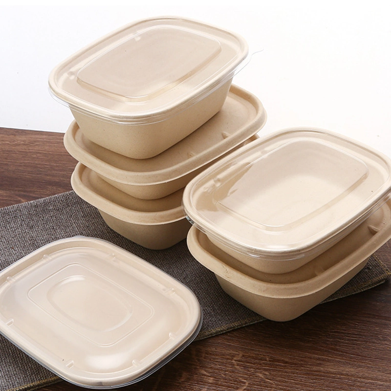 Professional Supplier Wholesale/Supplier Disposable Biodegradable Pulp Fiber Sugarcane Tableware