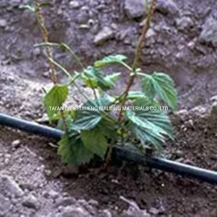 Hot Selling 16mm 6mil Drip Irrigation System Drip Tape for Agriculture