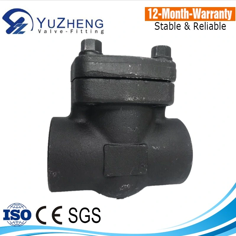 Forged Steel Industrial Use150-800lb A182 ASTM Check Valve