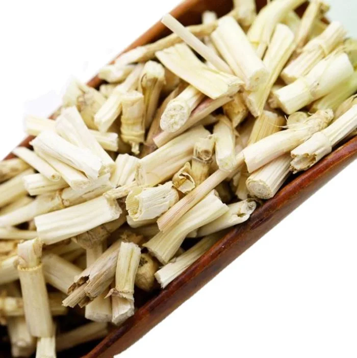 High Quality Dried Cogon Rhizome Natural Herbal Medicine Cogon Grass From Vietnam