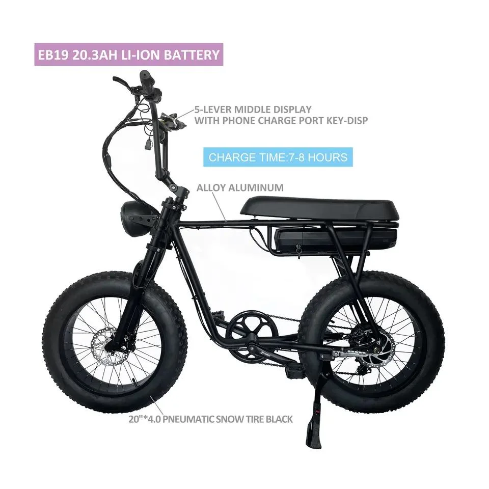 Factory OEM ODM Ebike 48V 750W 1000W Mountain Electric Bicycle