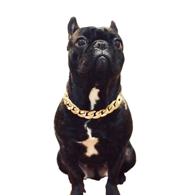 Gold Chain Small and Medium-Sized Dog Collar Pet Necklace Jewelry Accessories