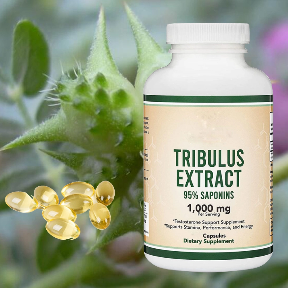 Supplement Booster Energy Tribulus Terrestris Extrakt Pulver Kapsel Tribulus