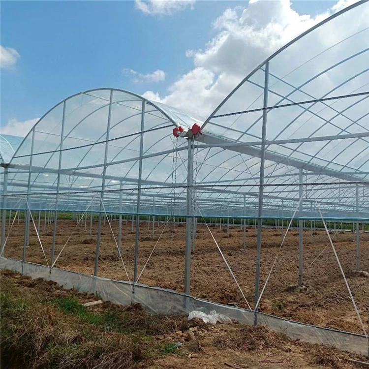 2023agrícola en el interior de gases de efecto invernadero de túnel de la película de plástico para grandes explotaciones agrícolas de cultivo/