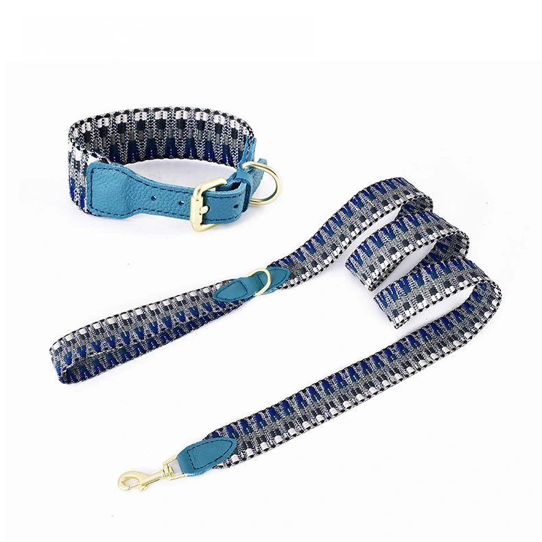 Colorful Nylon Webbing PU Leather Pet Collar and Leash Set