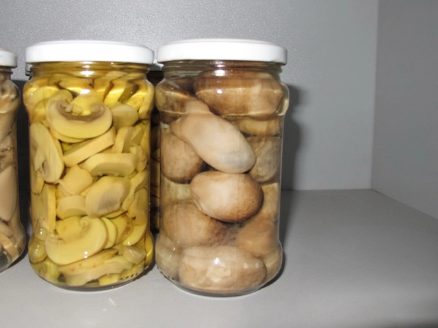 Canned Champignon Fresh Canned Straw Mushroom Whole Unpeel