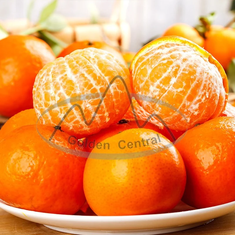 Super Fresh Navel Orange Price Fresh Orange