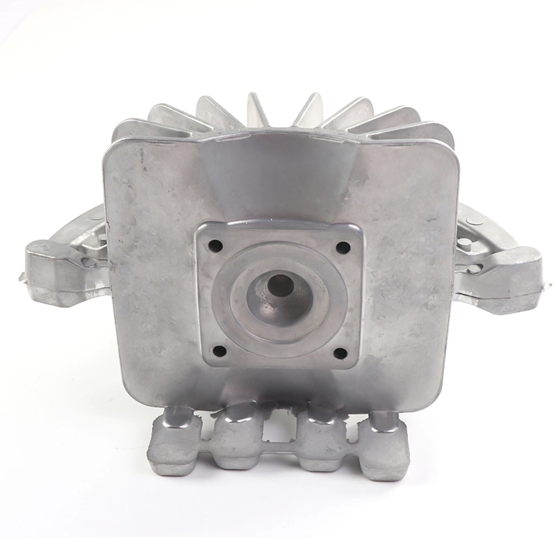 OEM Pressure Die Cast Iron Casting Parts Housing Die Casting Aluminum Metal Camera Case