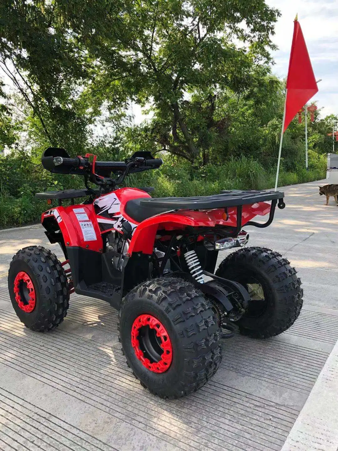 Fangpower ATV 4X2 125cc 4 Wheeler Motorcycle Quad Bike ATV with CE