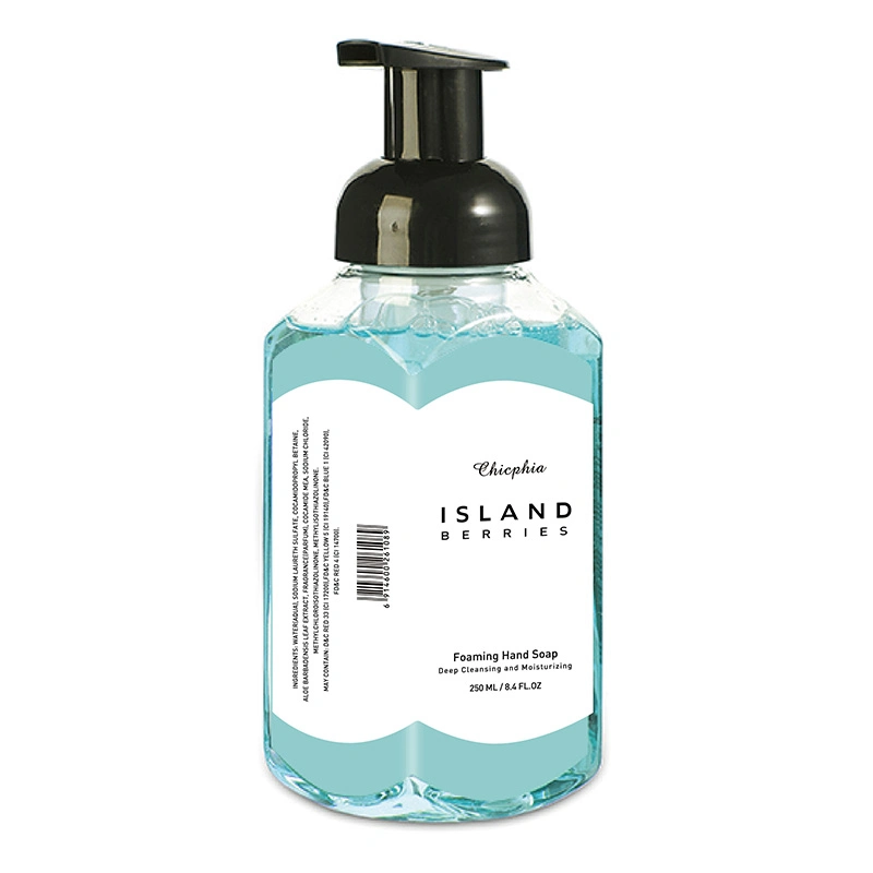 250 مل من علامة تشيكفيا التجارية مانجو Delight Foaming Hand Soap