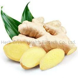 Wholesale/Supplier Competitive Price Immune Regulating Seasoning Ginger Powder