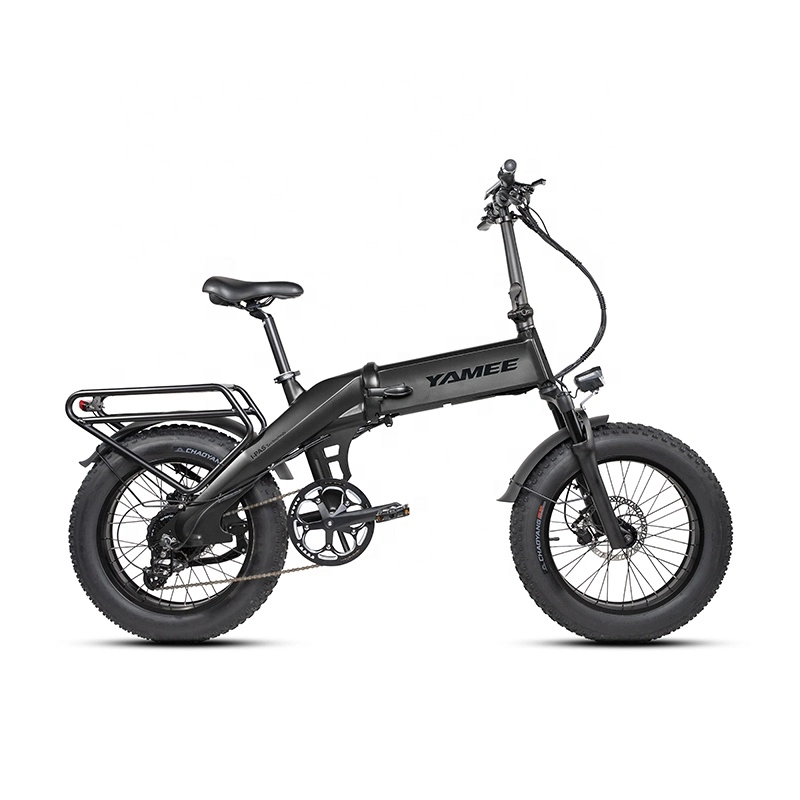 20 Inch 2021 Most Popular E-Bike Fat Tyre 48V E Bike Folding Fat Tire Electric Bicycle