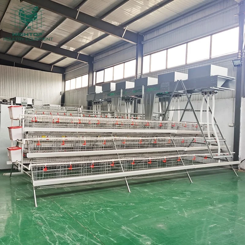 Hightop Cheap Quality Hot Galvanized Poultry Farm Layer Chicken Cage