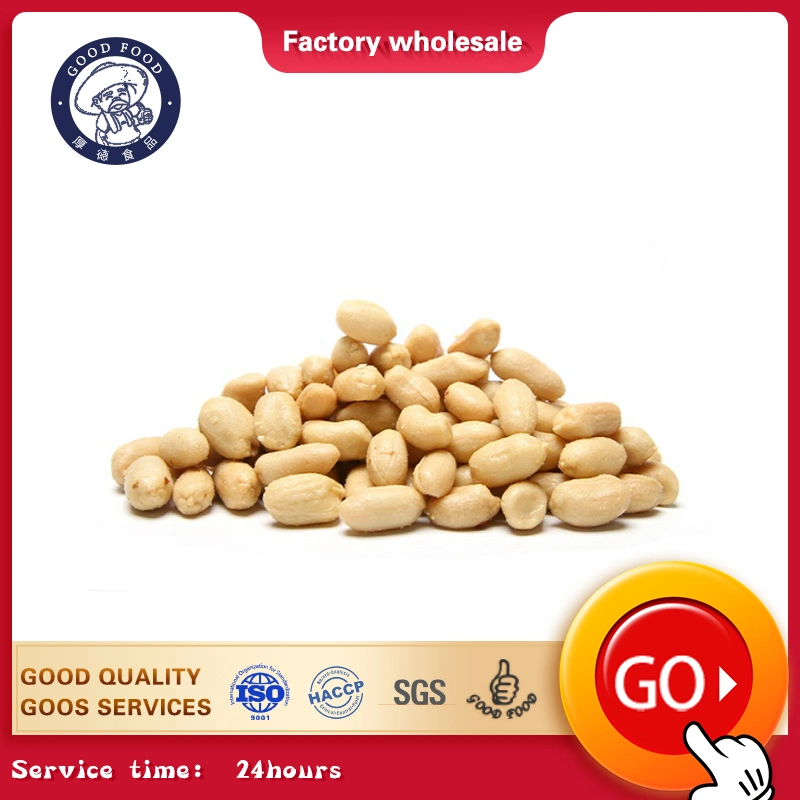 Made in China Shandong Juxian Peanuts Blanched Peanut Kernels for Sale