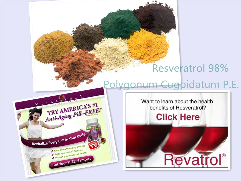 98% Resveratrol Powder Capsules Supplement