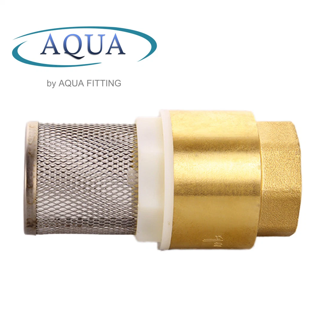 Original Factory Brass with Mesh Check Valve Stainless Steel Web Filter Mesh