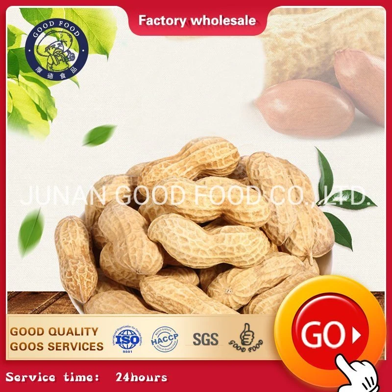 China Supplier Sturdy Peanut Shell / Peanut / Roasted