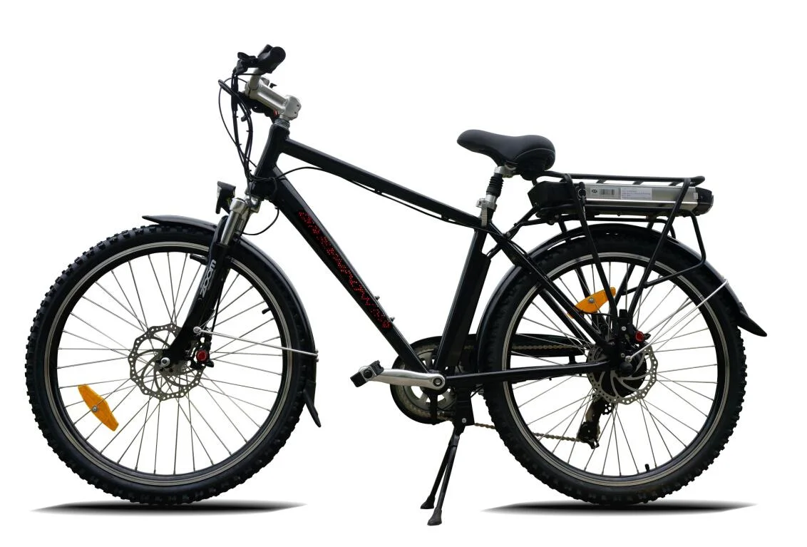 En15194 Aprroved 36V 250W Cheap City Green Motorized Electric Bike