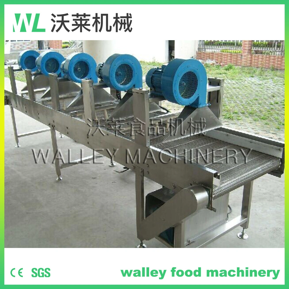 China Vegetable Surface Water Blowing Machine Blower