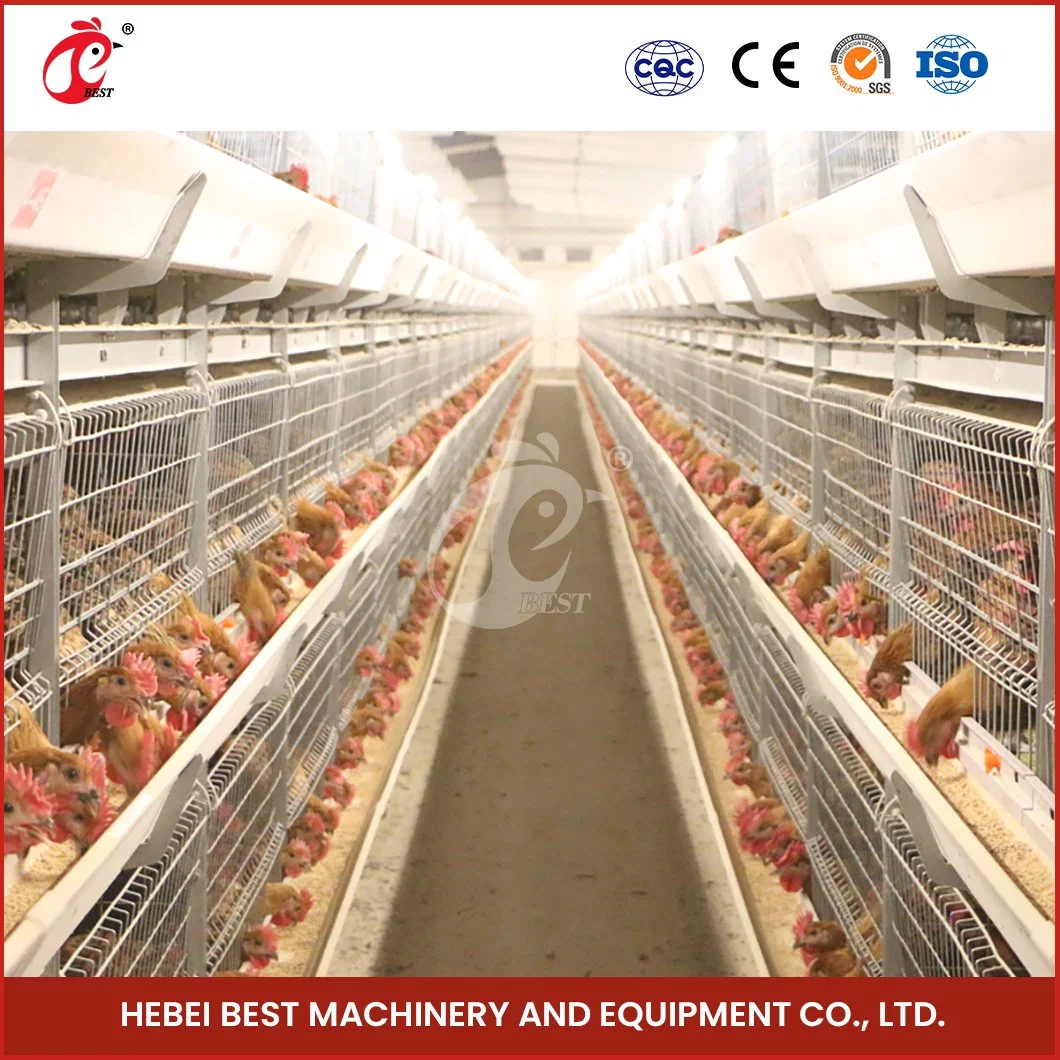 Châssis en H Bestchickencage Cages de poulets de chair de la Chine Maison de la volaille Structure en acier Factory bon appareil de la volaille à griller des cages de débordement